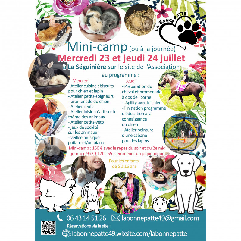 Mini-camp (ou journée) avec les animaux