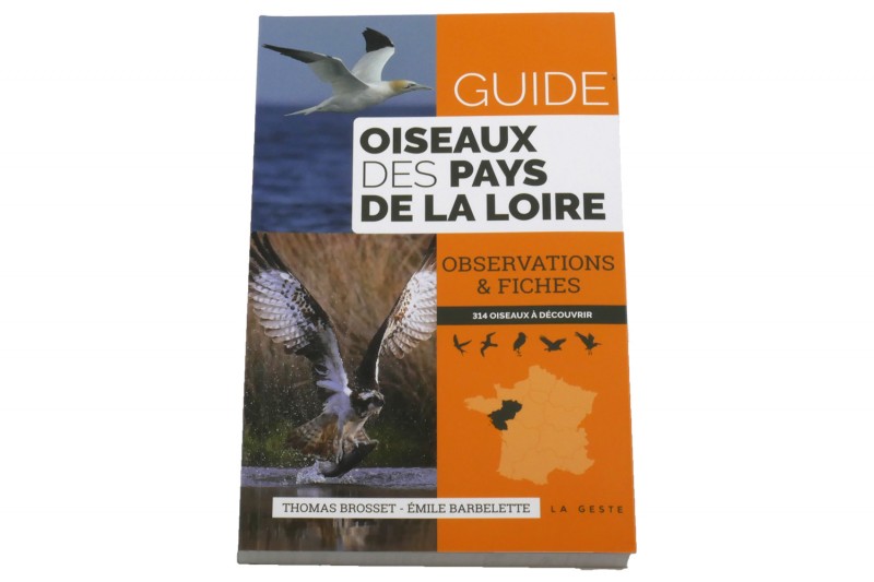 oiseaux-des-pays-de-la-loire