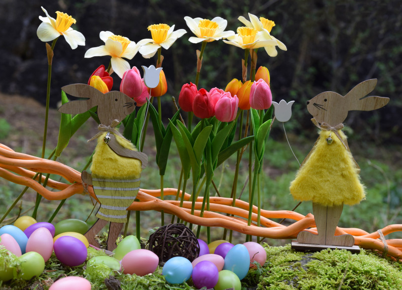 Agenda manifestation Doué-en-Anjou Pâques au Bioparc