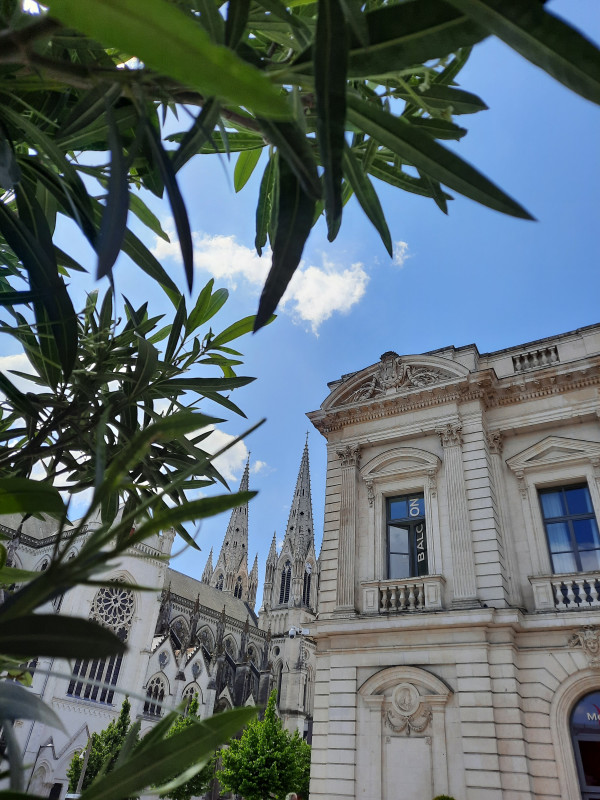 place-travot-cholet-2022-49-c-catherine-fonteneau-652055