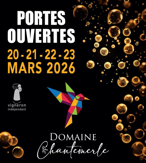 Vin Vigne Vignoble Millésime Dégustation Haut-Layon Trémont