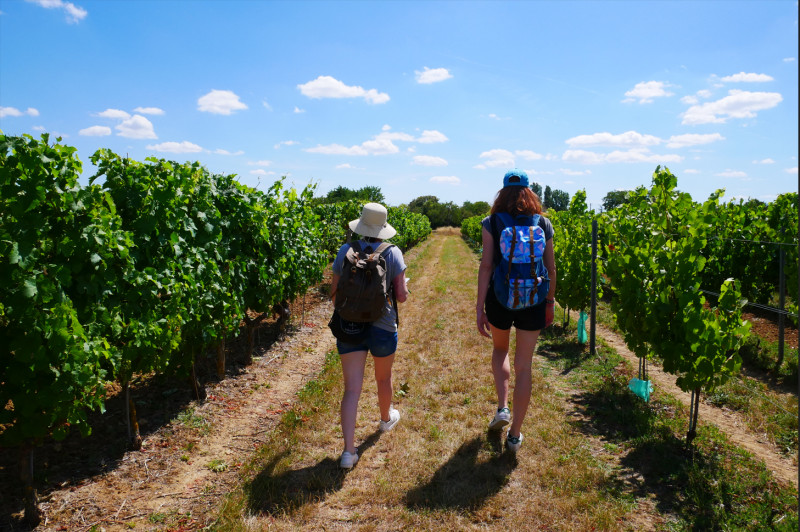 rando-apero-du-vigneron-rosalie-lesur