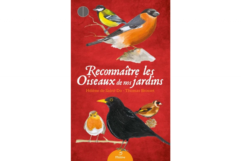 Reconnaître les oiseaux de nos jardins