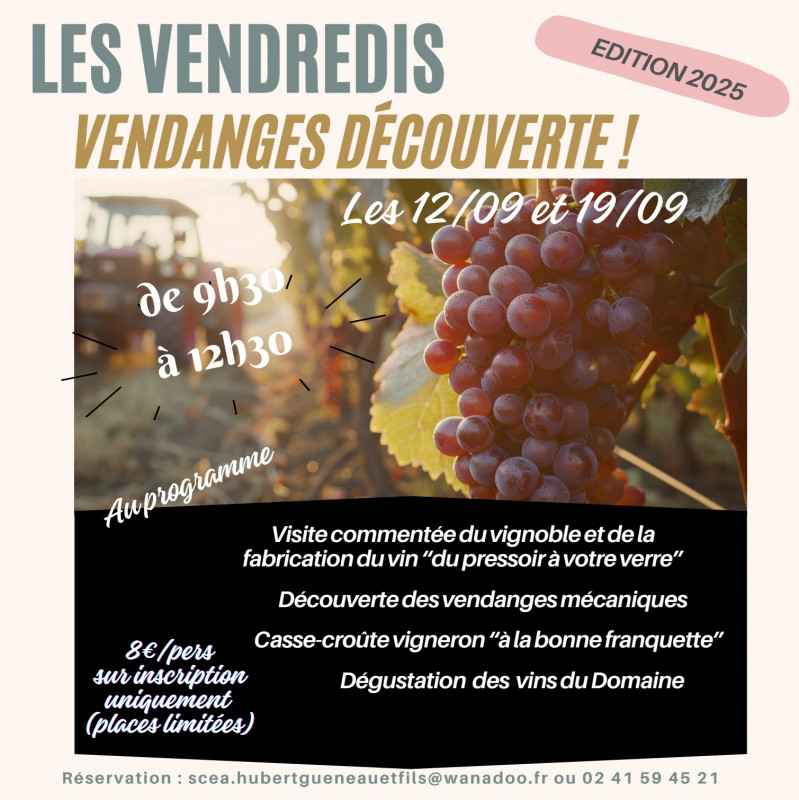 Vendanges Vin Vignes Vignobles Domaine Trois Monts