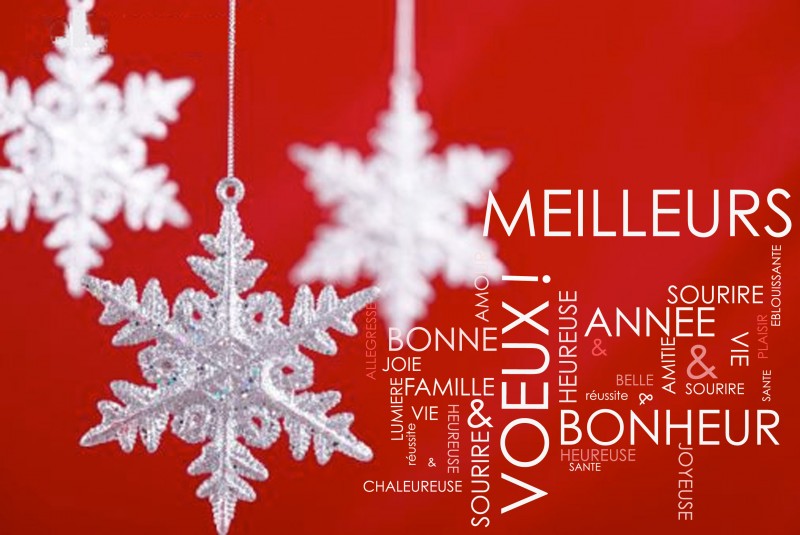 voeux-flocons-rouge-253460 voeux-flocons-rouge-253460